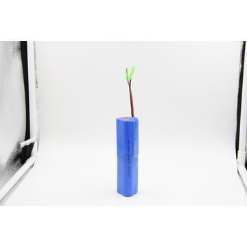 0.2C 18650 2400mAh 21.6V حزم بطارية ليثيوم أيون مخصصة لمسدس التدليك